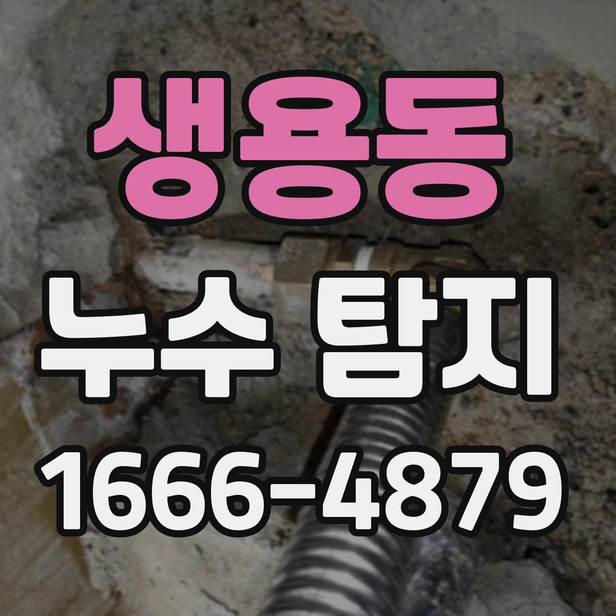 생용동 누수 탐지