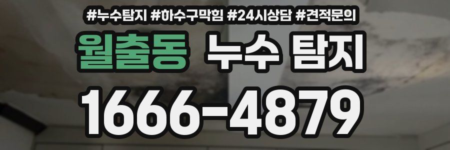 월출동 누수 탐지
