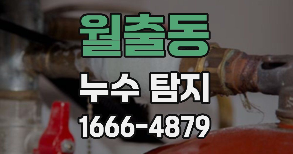 월출동 누수 탐지