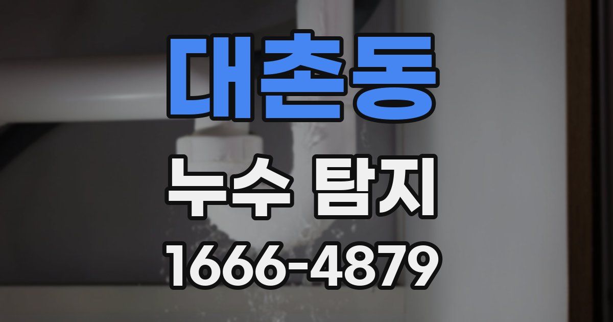 대촌동 누수 탐지