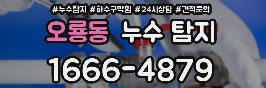 오룡동 누수 탐지