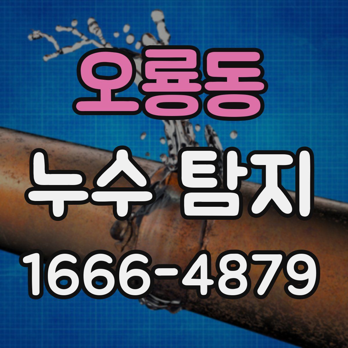 오룡동 누수 탐지
