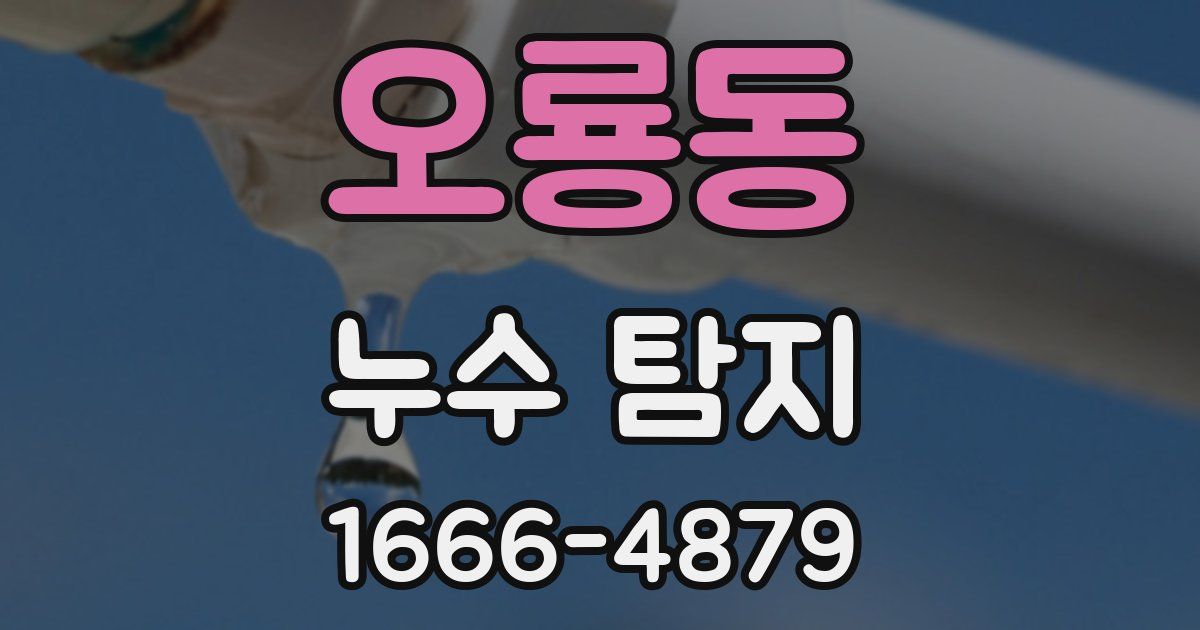오룡동 누수 탐지