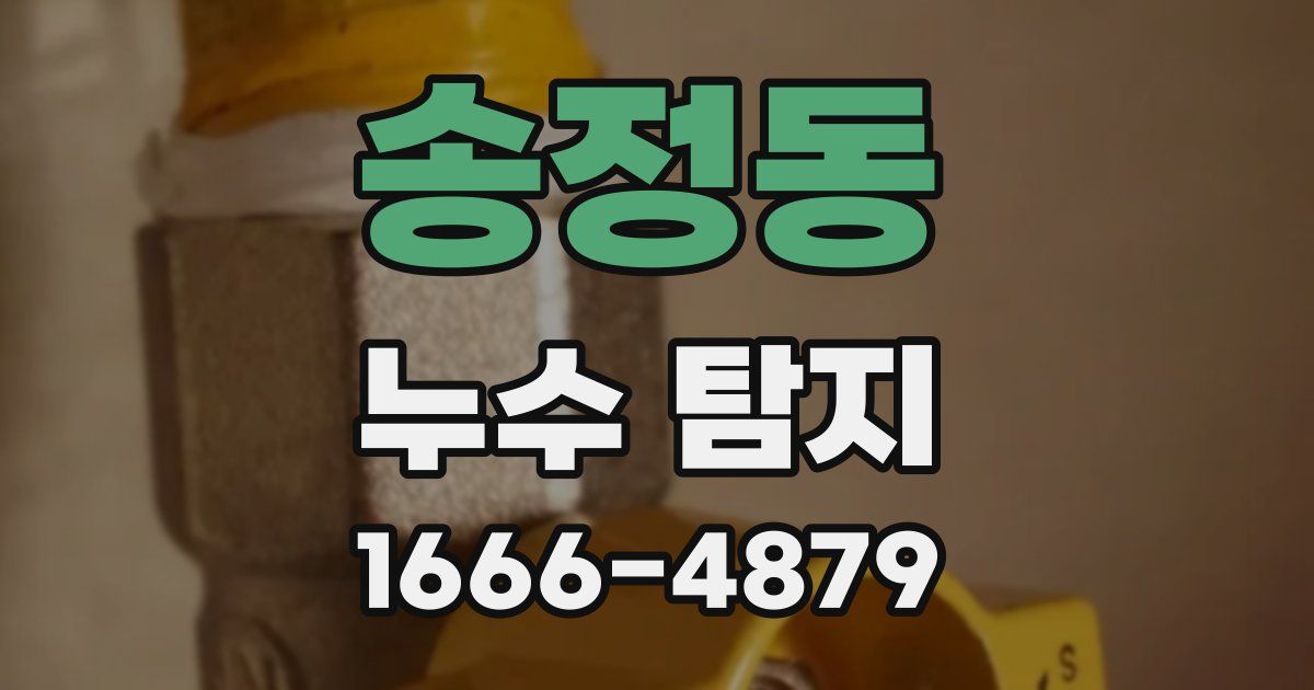 송정동 누수 탐지