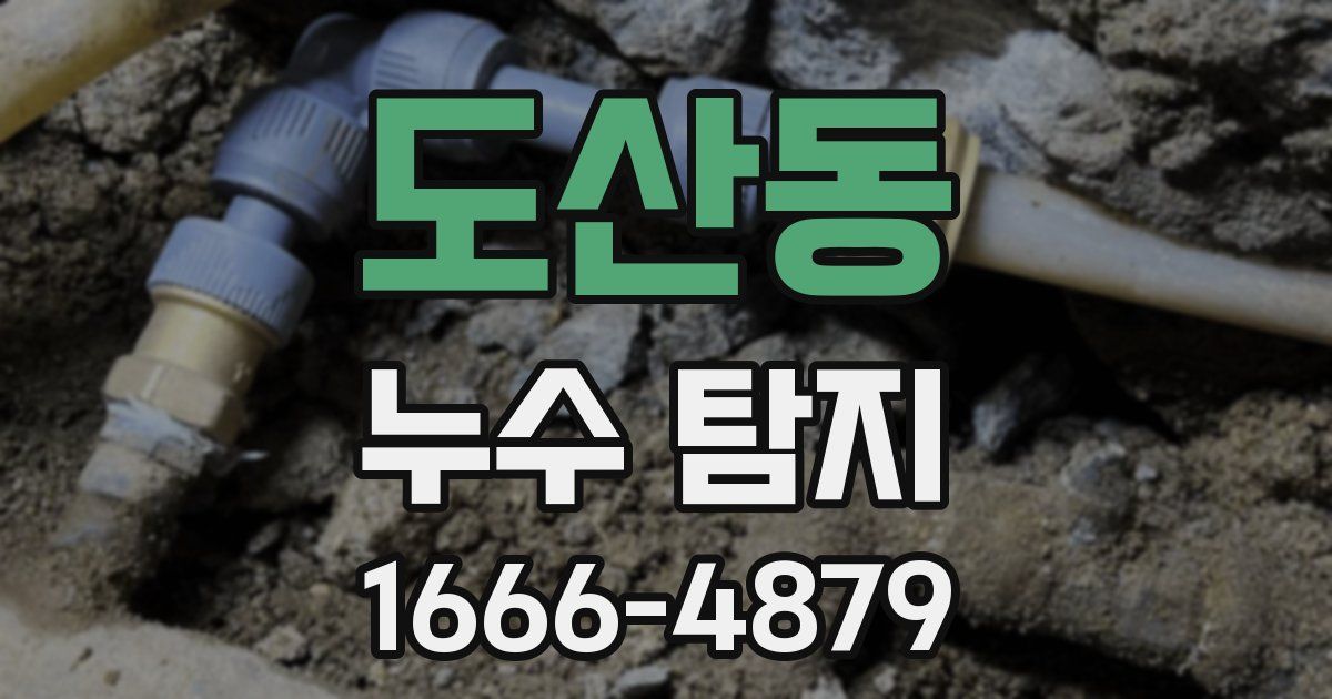 도산동 누수 탐지