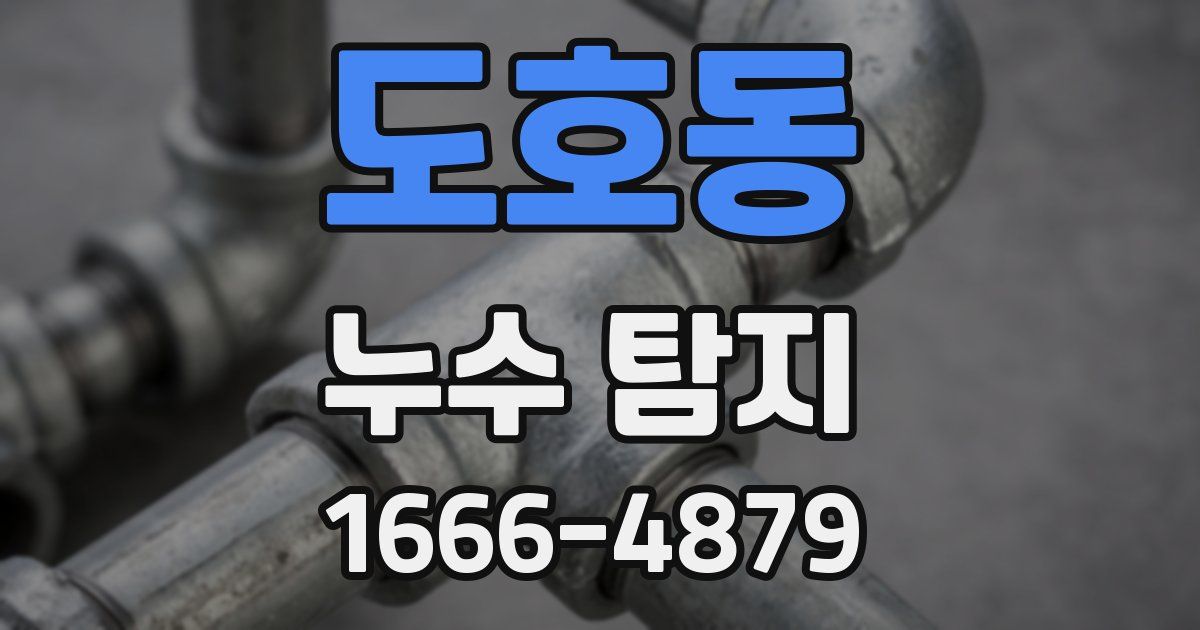 도호동 누수 탐지