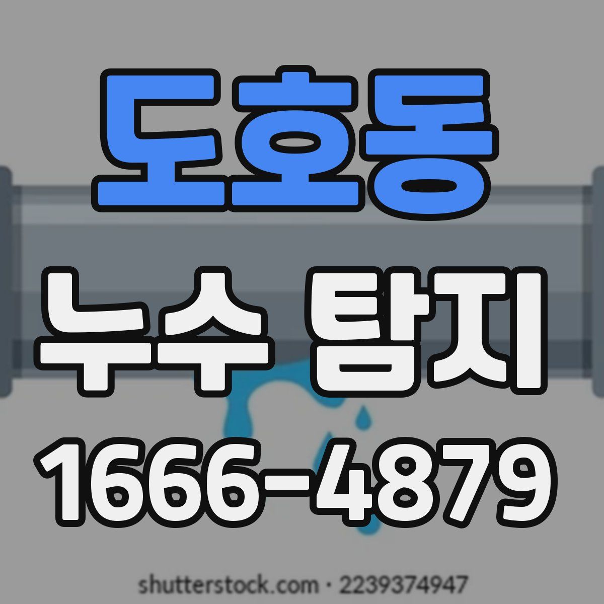 도호동 누수 탐지
