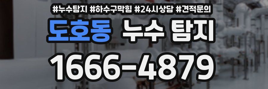 도호동 누수 탐지
