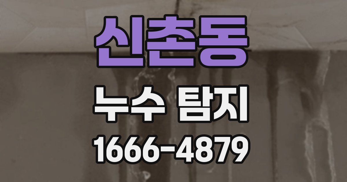 신촌동 누수 탐지