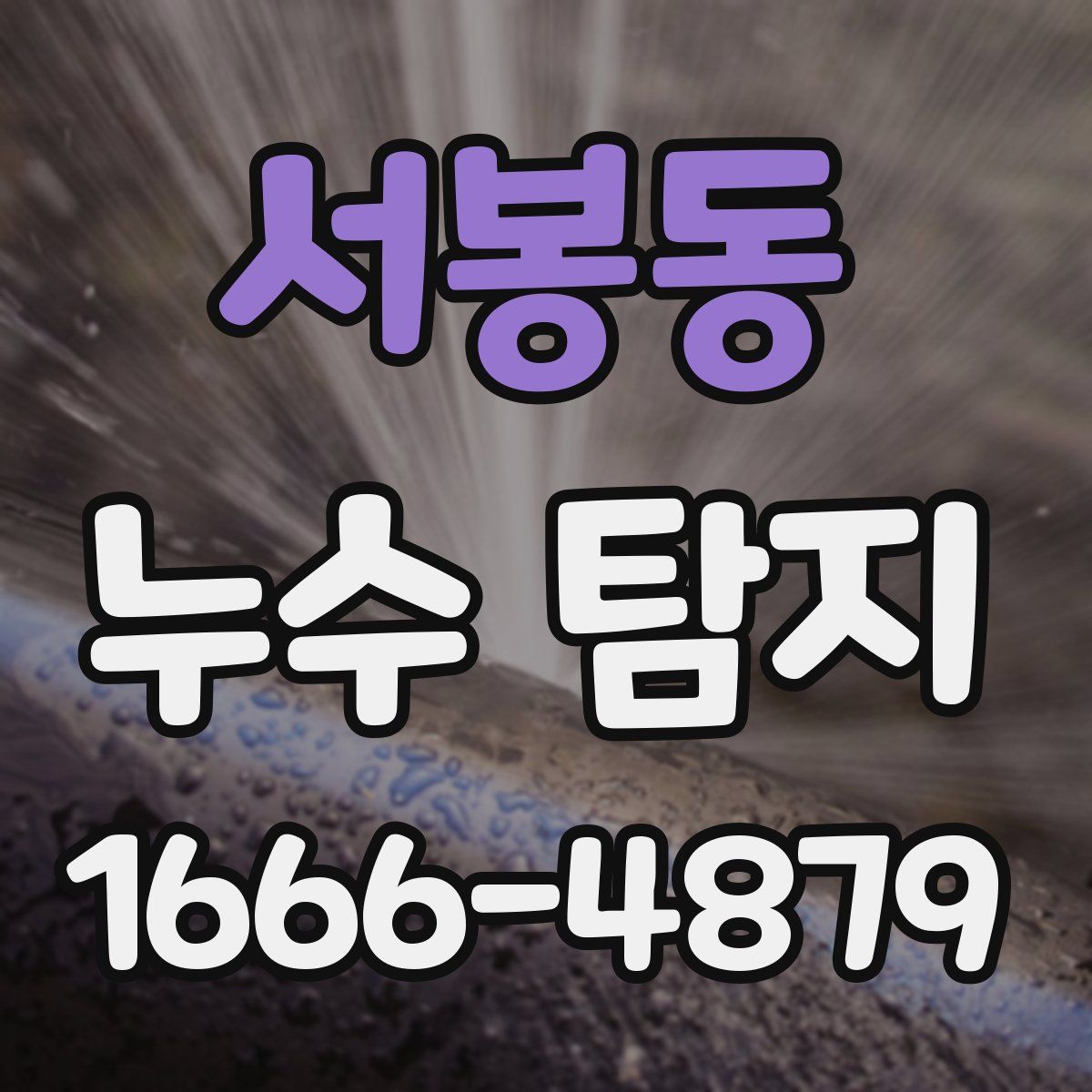 서봉동 누수 탐지
