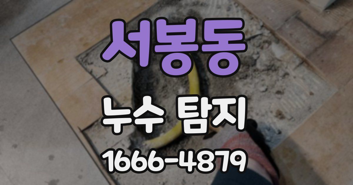 서봉동 누수 탐지