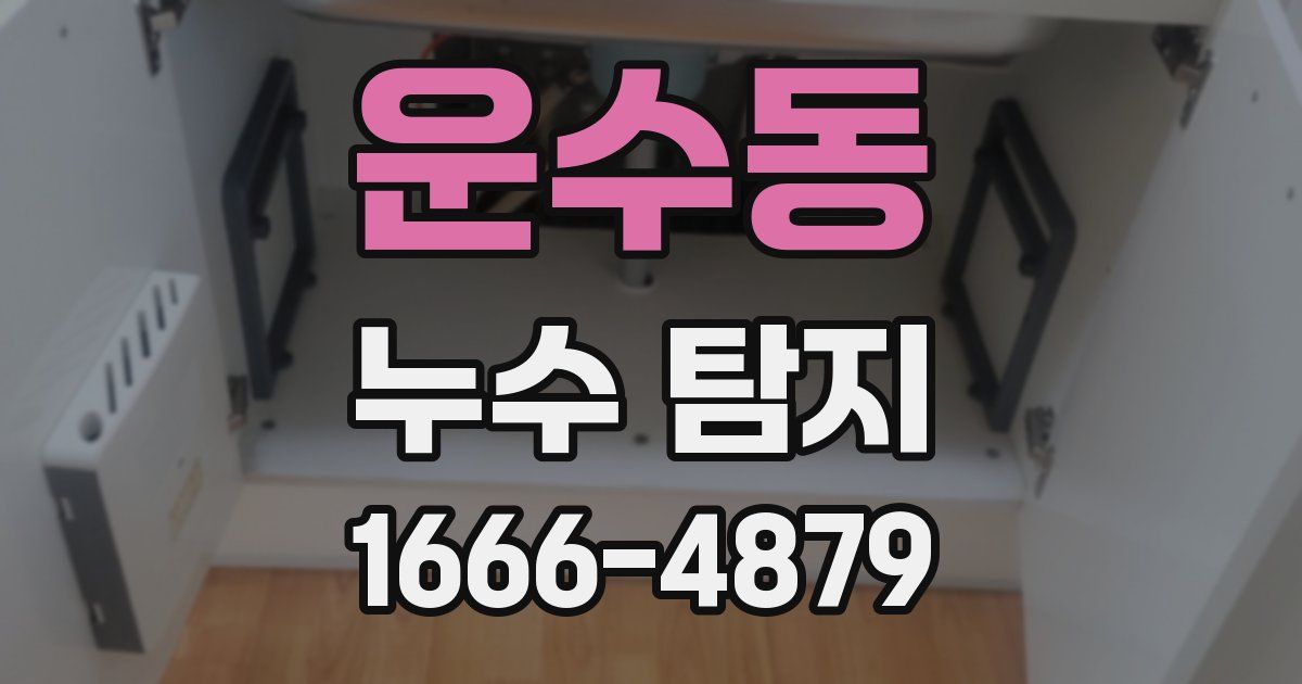 운수동 누수 탐지
