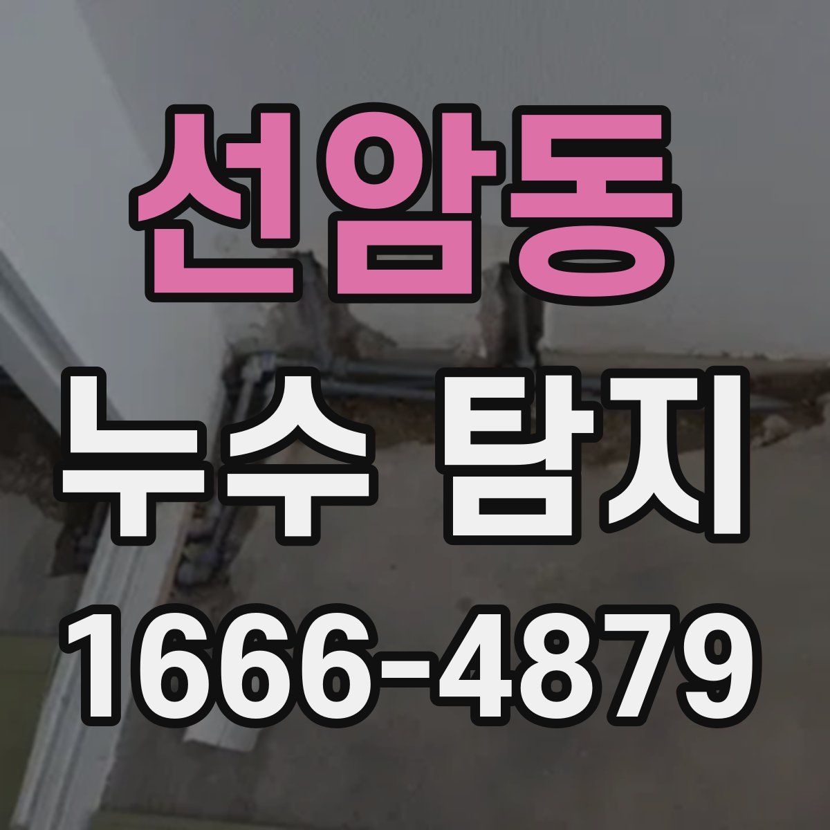 선암동 누수 탐지