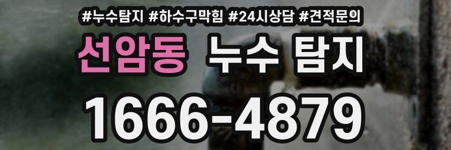 선암동 누수 탐지