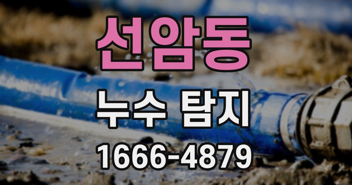 선암동 누수 탐지