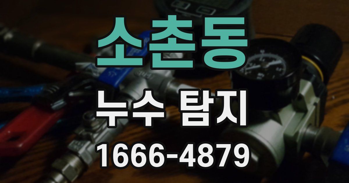 소촌동 누수 탐지