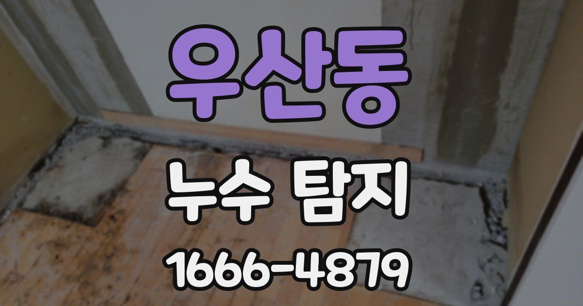 우산동 누수 탐지