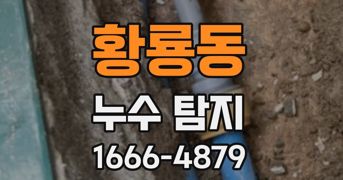 황룡동 누수 탐지
