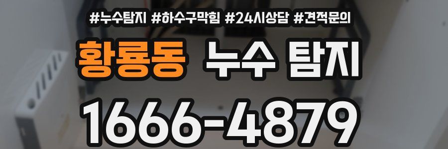 황룡동 누수 탐지