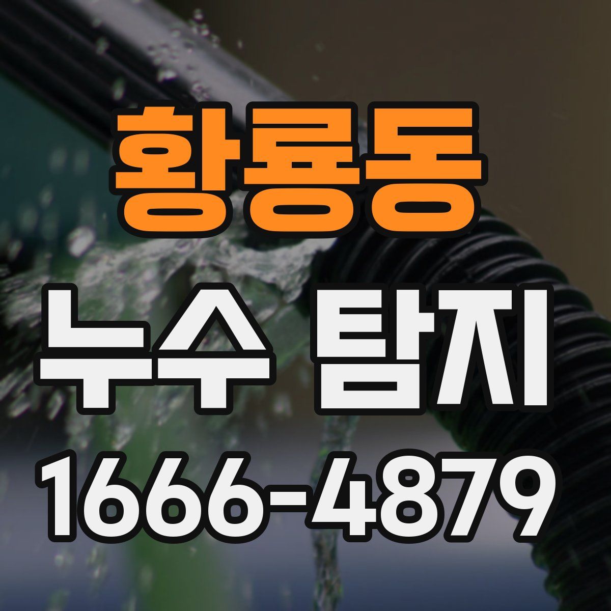 황룡동 누수 탐지