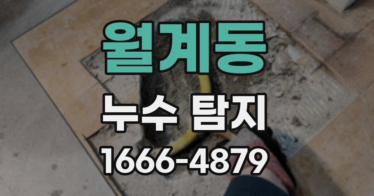 월계동 누수 탐지