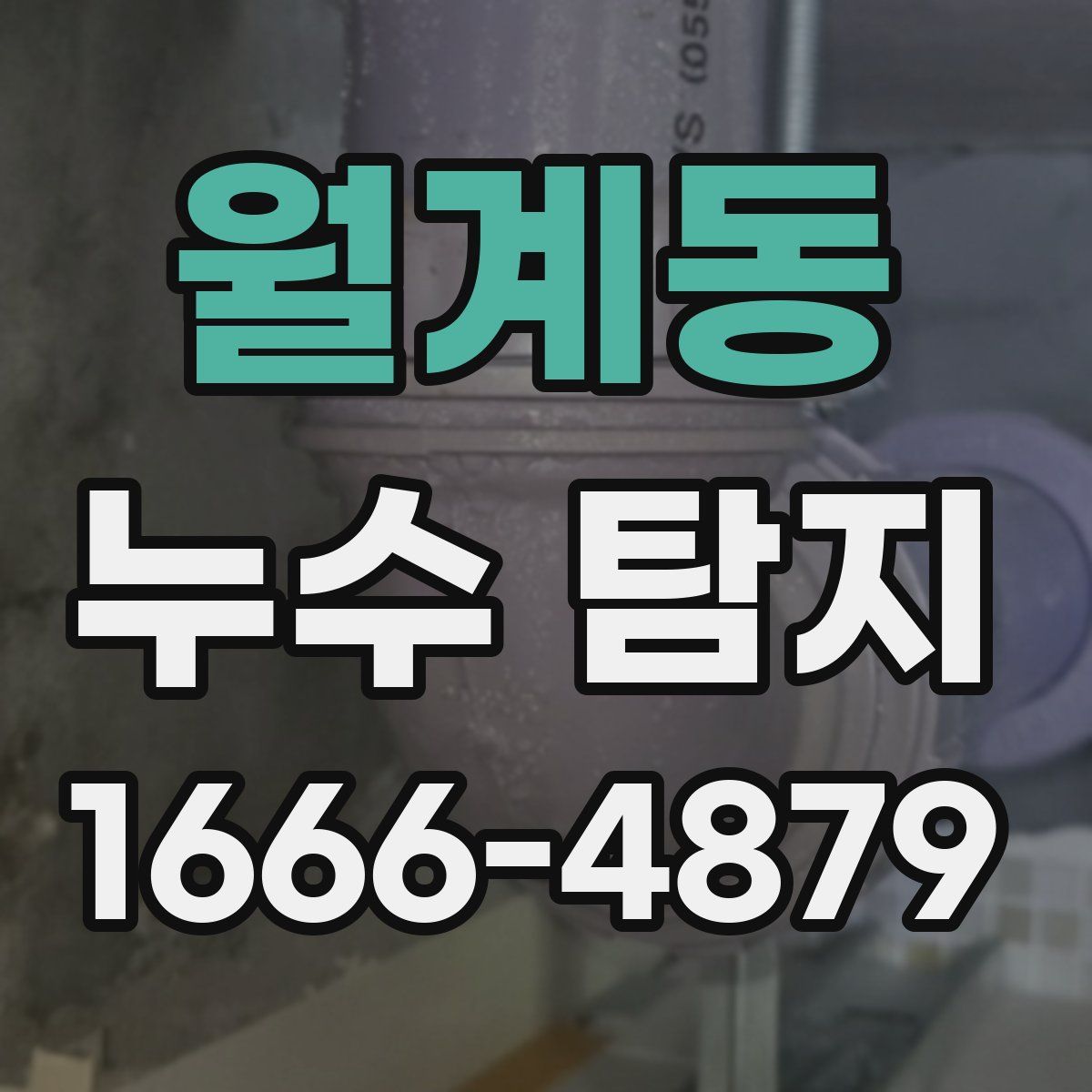 월계동 누수 탐지