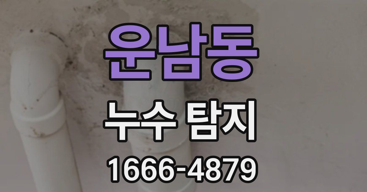운남동 누수 탐지