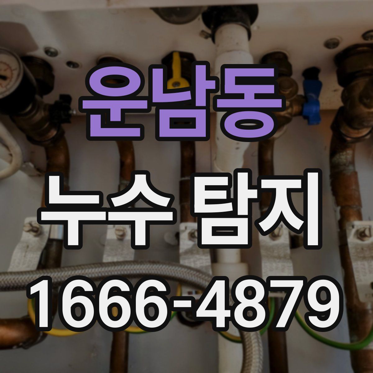 운남동 누수 탐지