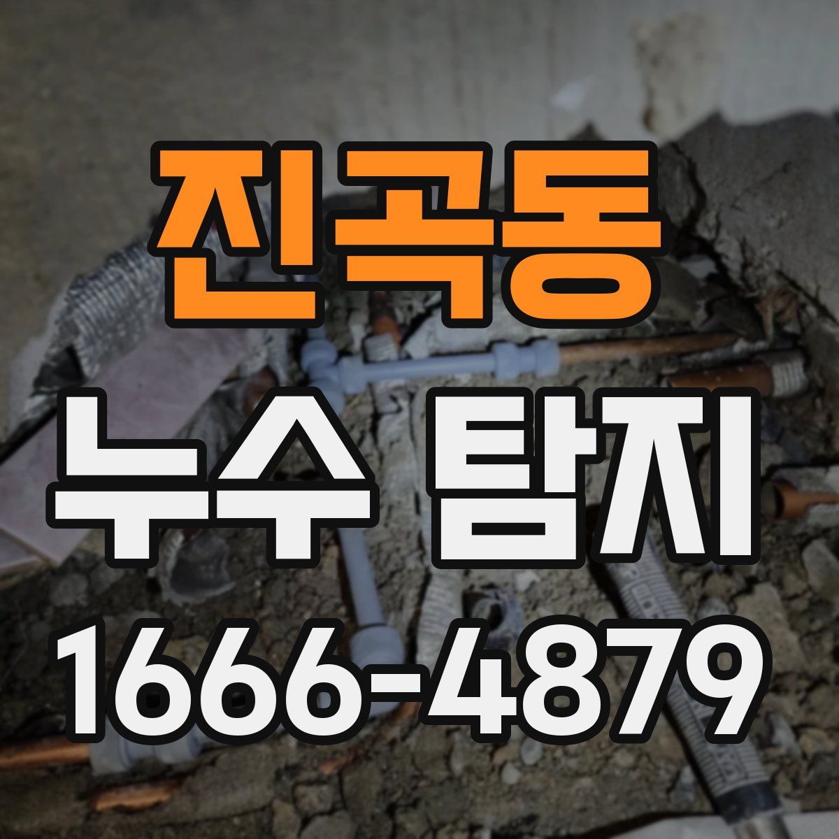 진곡동 누수 탐지