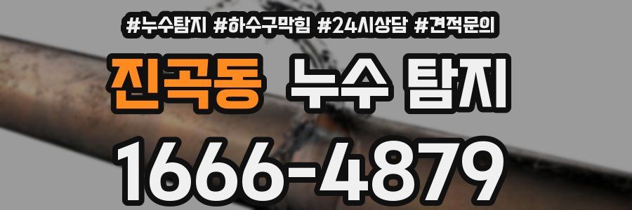 진곡동 누수 탐지