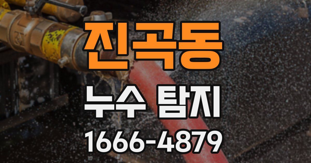 진곡동 누수 탐지