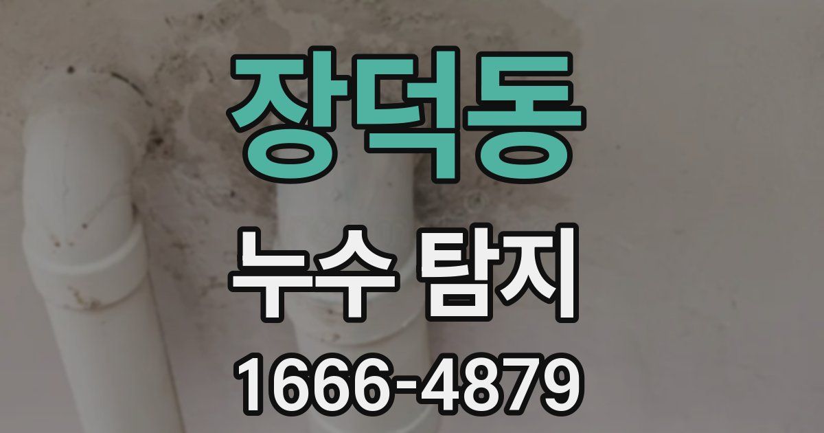 장덕동 누수 탐지