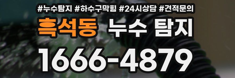 흑석동 누수 탐지