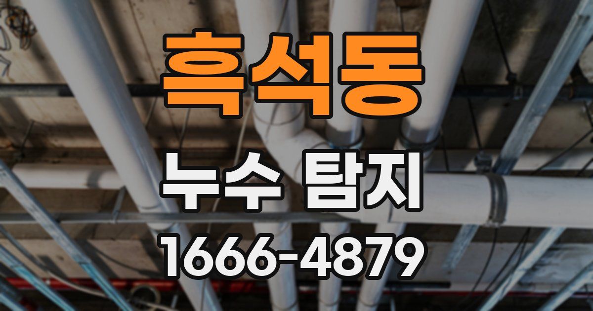 흑석동 누수 탐지