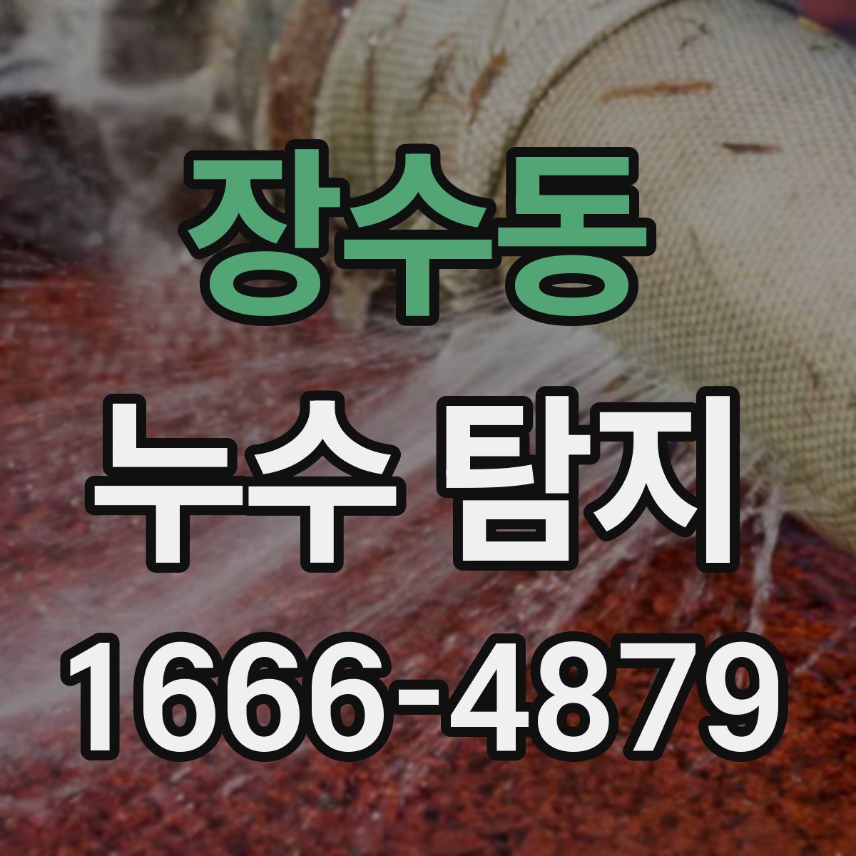 장수동 누수 탐지