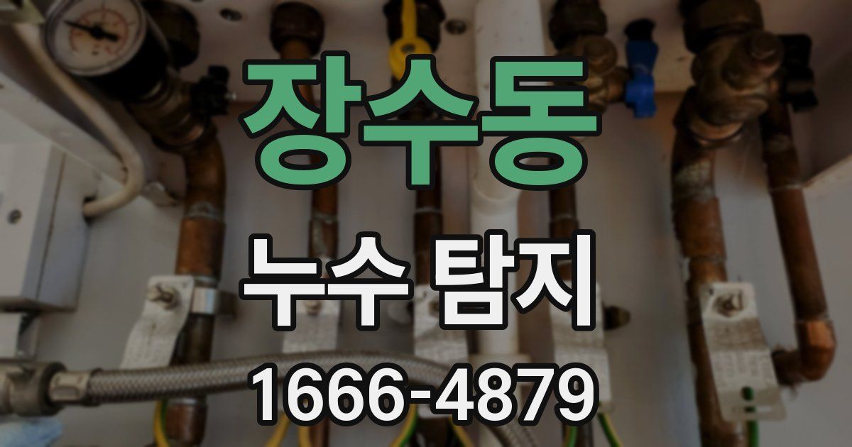 장수동 누수 탐지