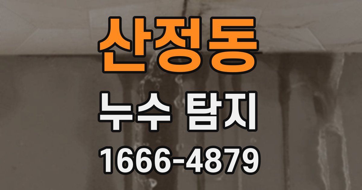 산정동 누수 탐지