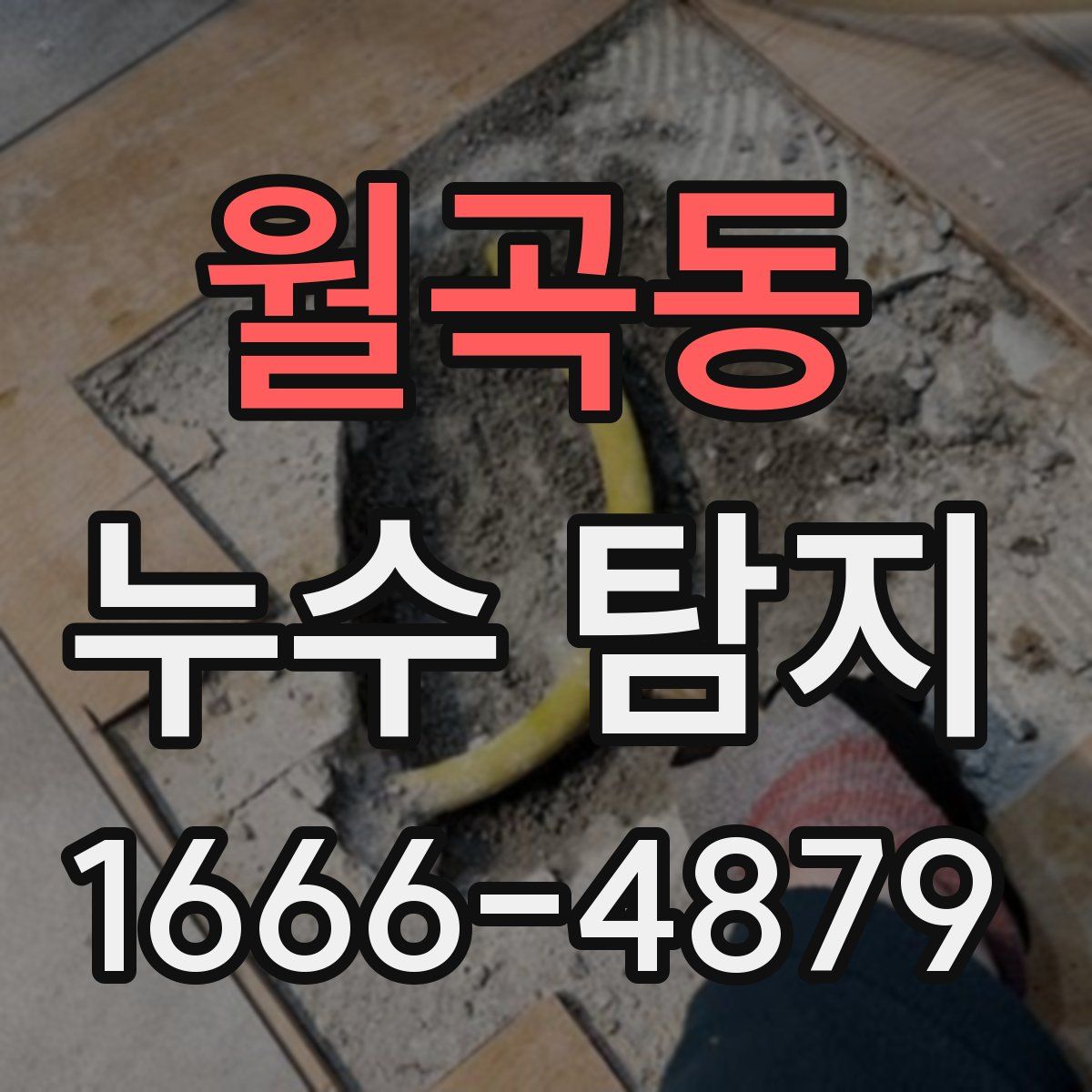 월곡동 누수 탐지