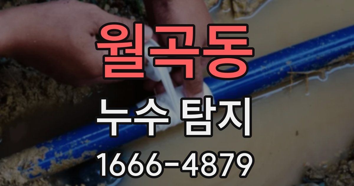 월곡동 누수 탐지