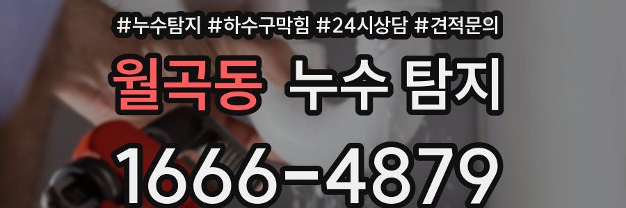 월곡동 누수 탐지