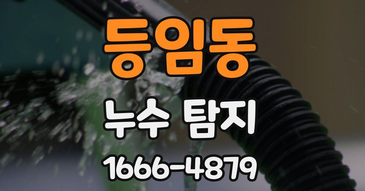등임동 누수 탐지