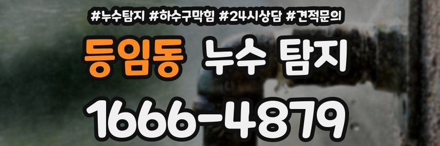 등임동 누수 탐지