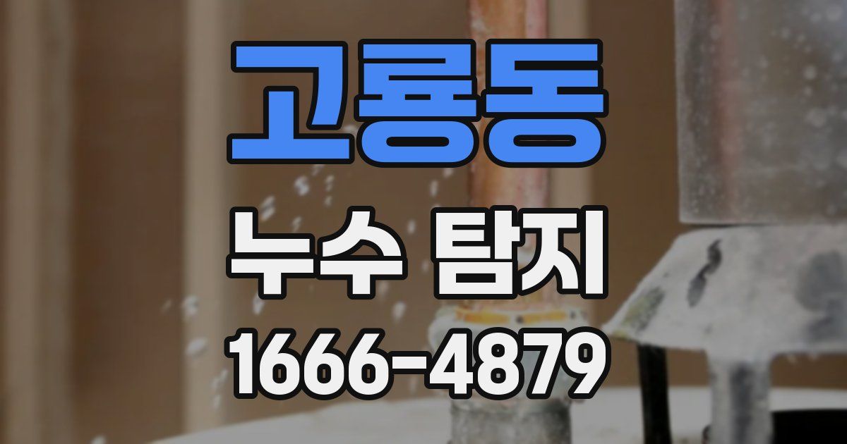 고룡동 누수 탐지