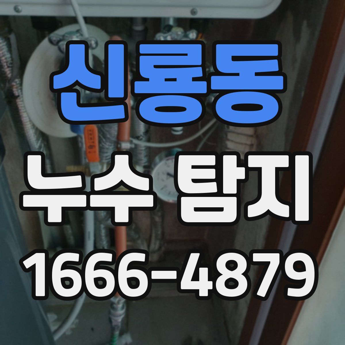 신룡동 누수 탐지
