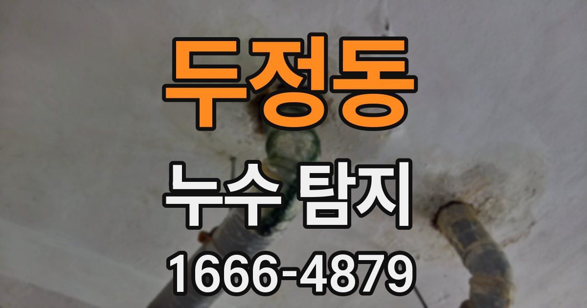 두정동 누수 탐지
