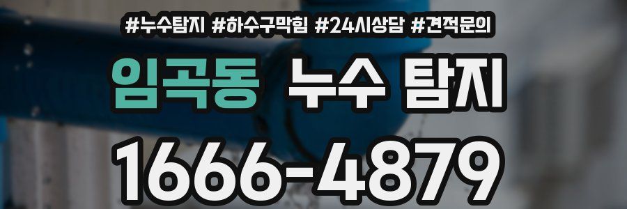 임곡동 누수 탐지