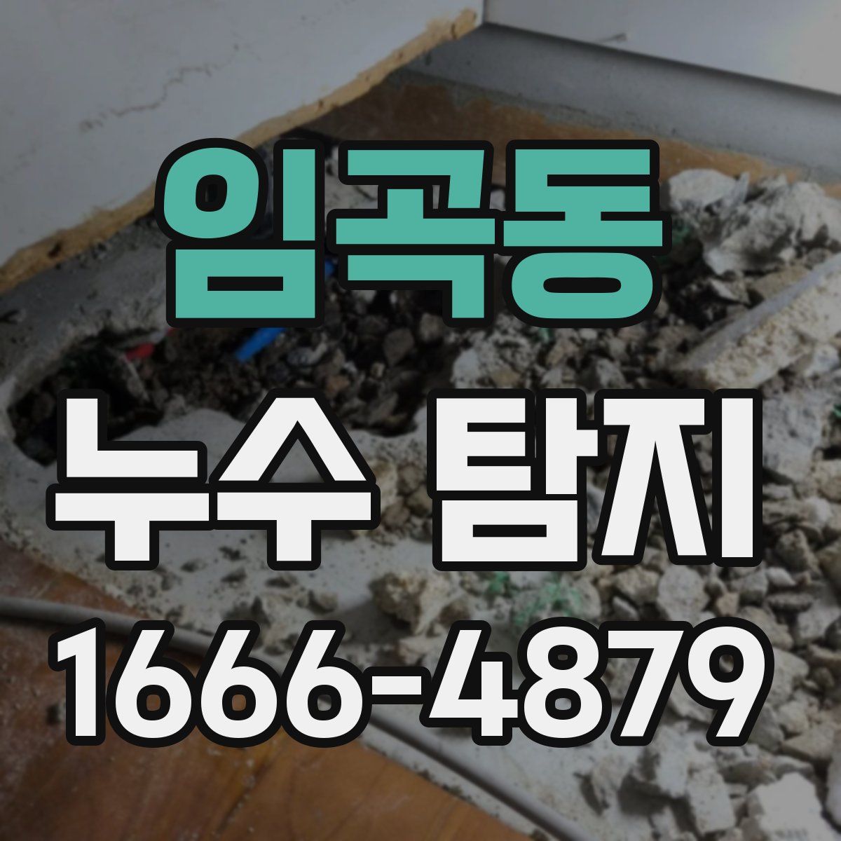 임곡동 누수 탐지