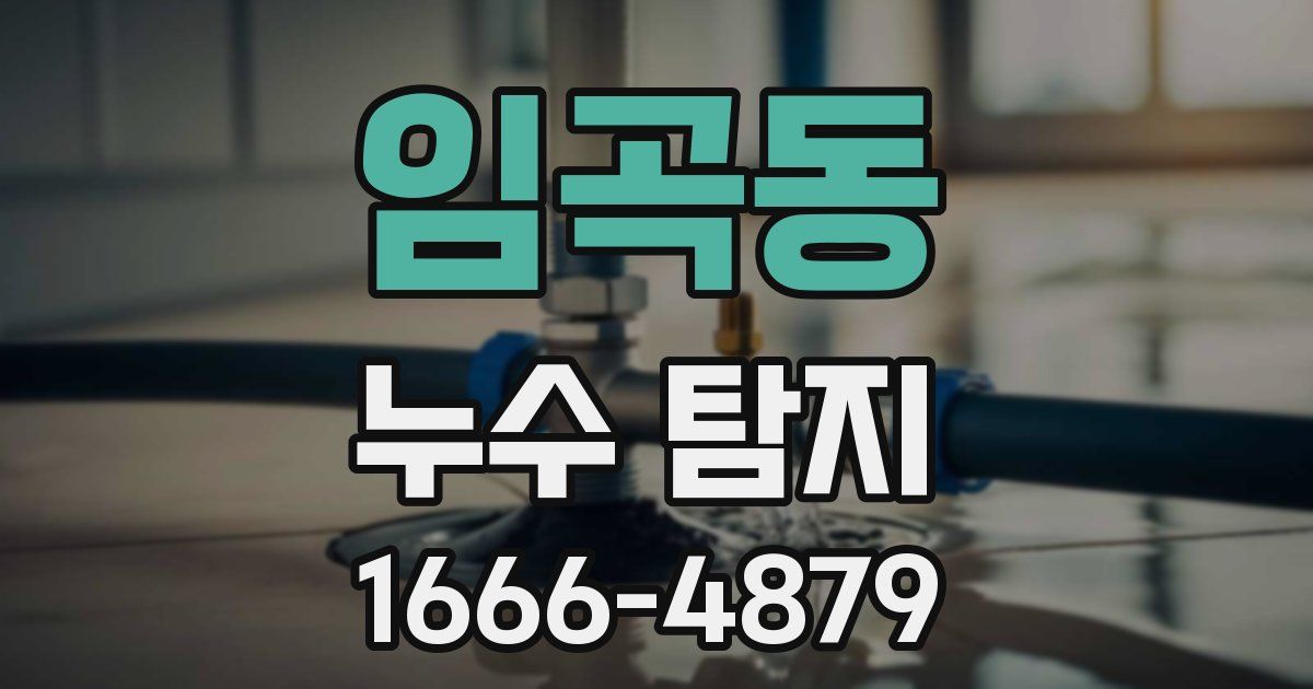 임곡동 누수 탐지