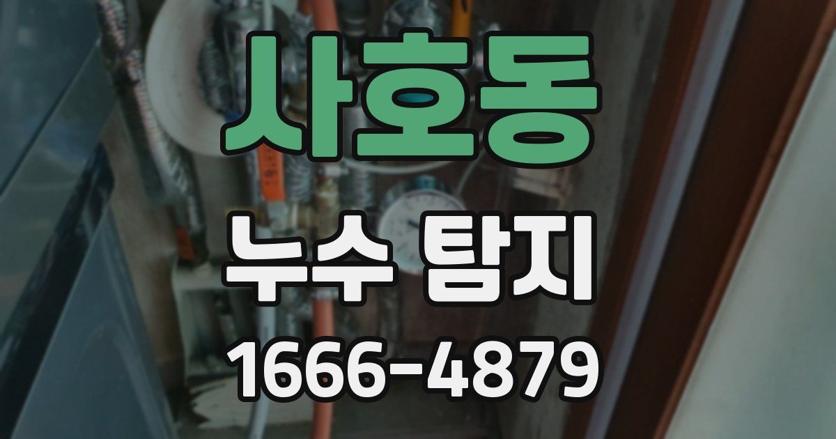 사호동 누수 탐지