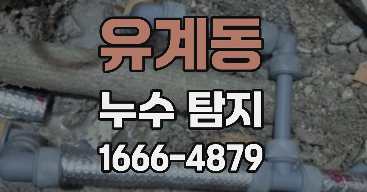 유계동 누수 탐지
